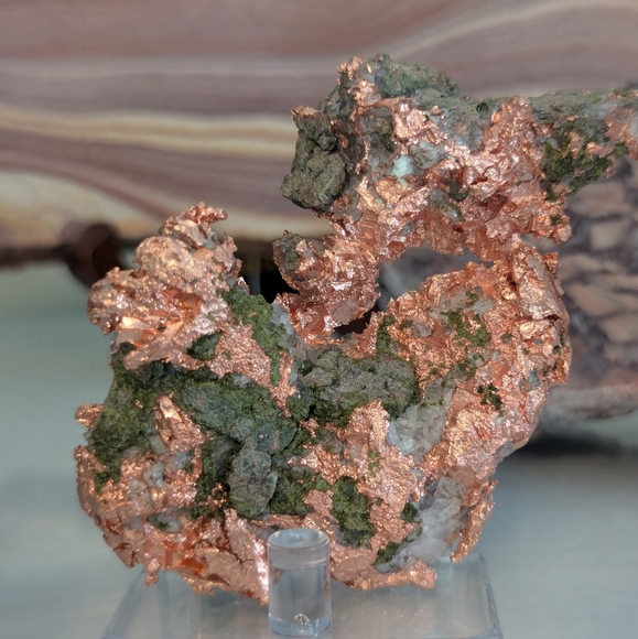 Meet your Posher, Tina - Picture 6 of 7